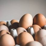 Are Eggs Plant Based?