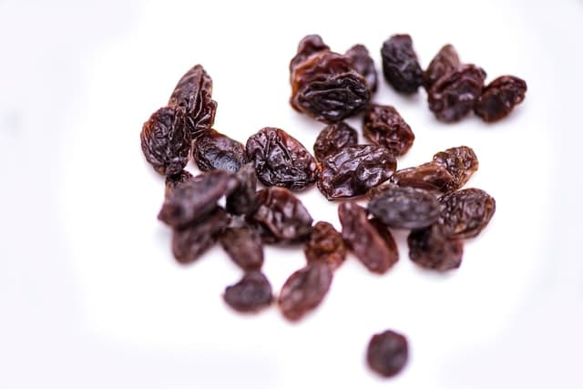Are Raisins Plant Based?
